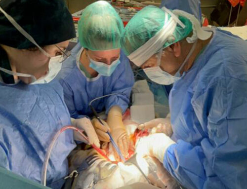 Życie pacjenta UCKWUM w ostatniej chwili uratował organ pobrany na Litwie