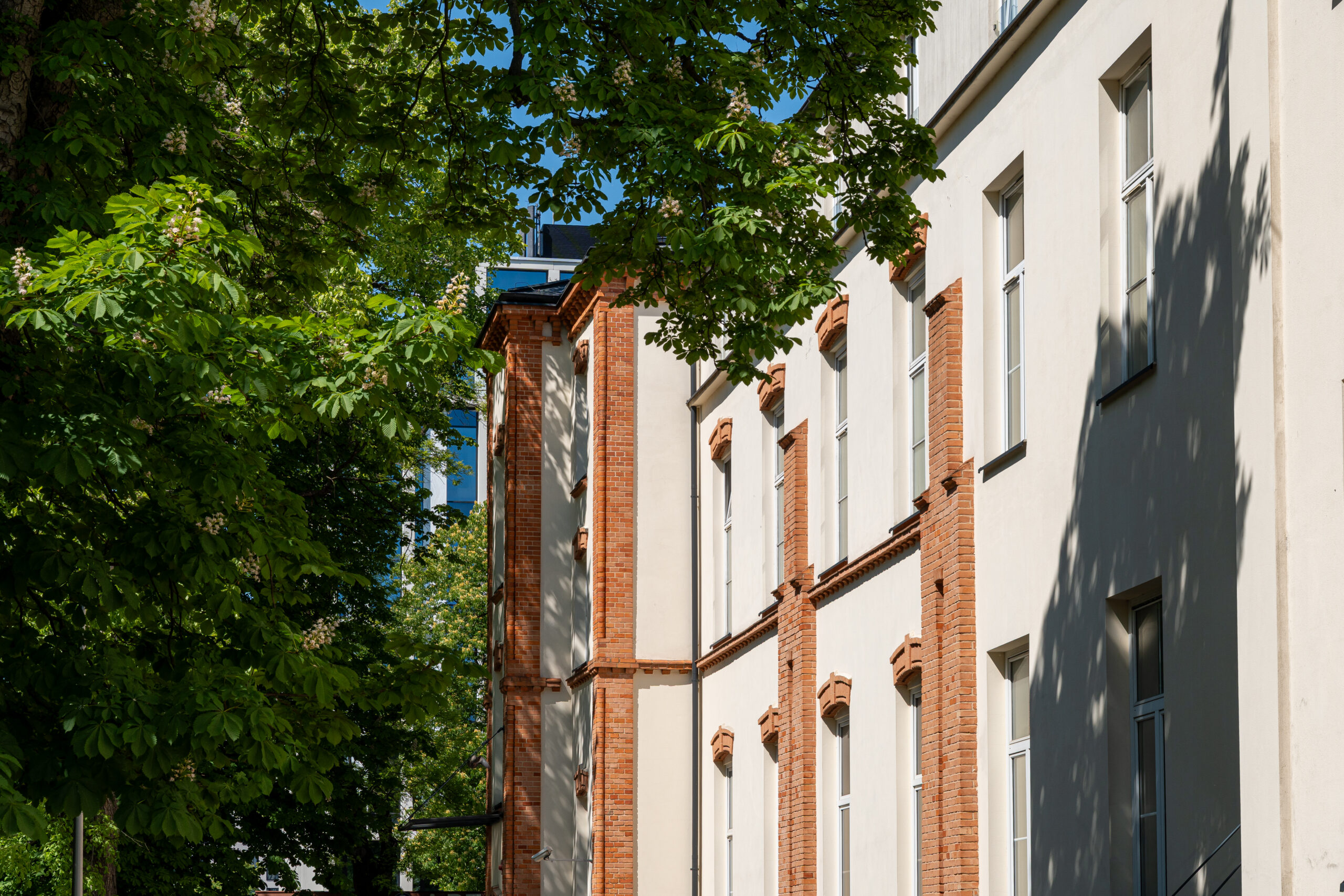 Kampus Lindleya; WUM