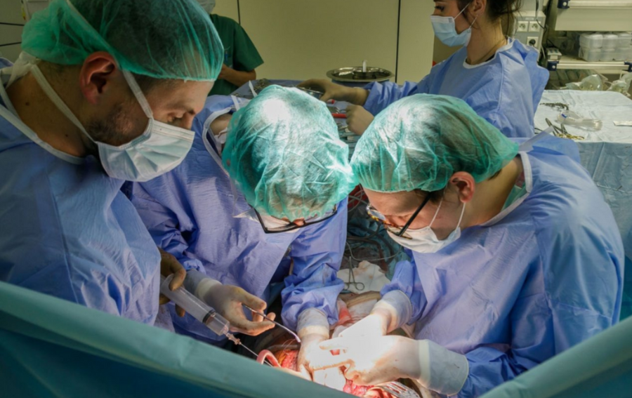 Największy ośrodek transplantacji wątroby w Polsce jest w UCK WUM